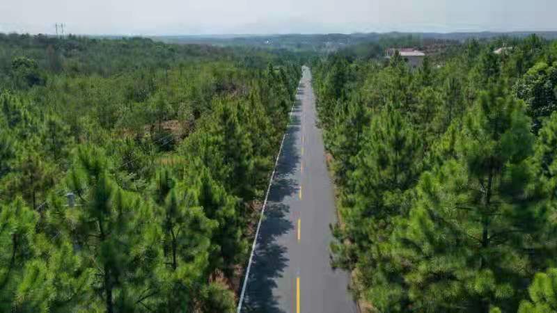 泰和县古坪至竹山(苑前至竹山段)县道路面改造工程 泰和县古坪至竹山(苑前至竹山段)县道路面改造工程
